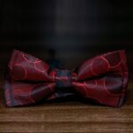 Chocolate Cosmos Silk Bow Tie